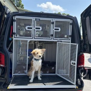 VW T6 LWB Dog Cage Conversion Rear Dog Cages